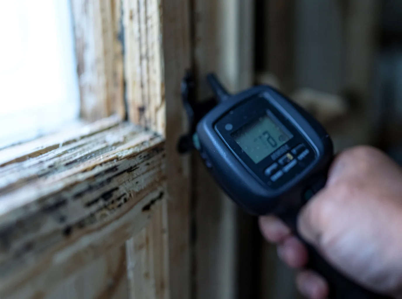 Moisture Inspection And Documentation in San Cristobal, NM